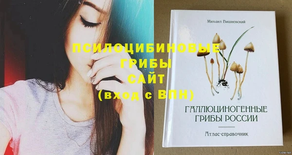 прущая мука Богородицк