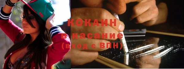 прущая мука Богородицк