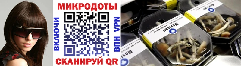 Псилоцибиновые грибы Psilocybine cubensis  Козельск 